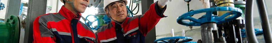 大慶寶石花熱力有限公司