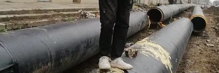 安徽國禎生態(tài)科技有限公司