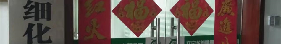 遼寧龍首精細(xì)化工有限公司